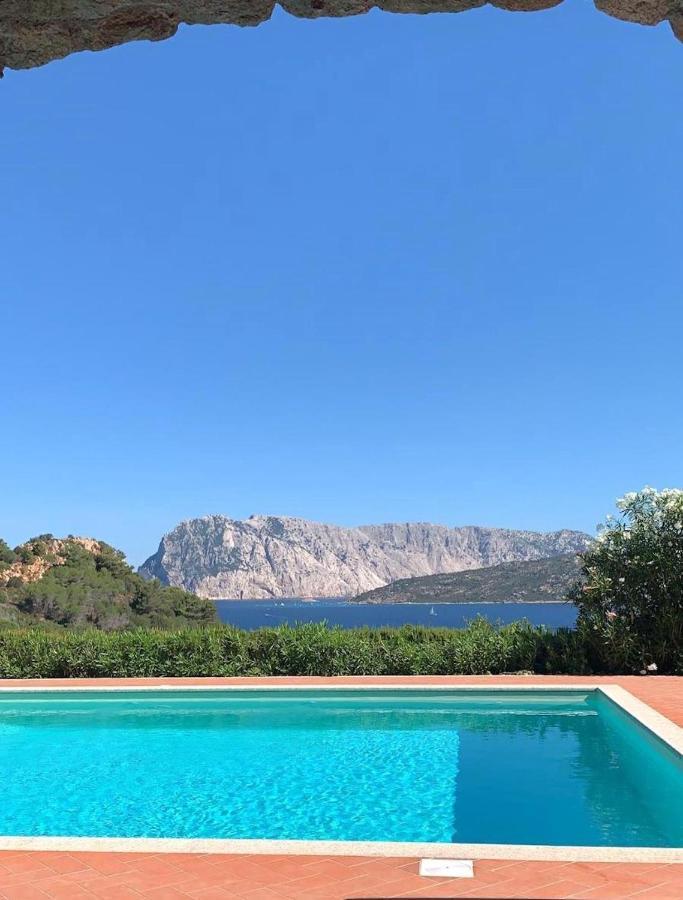 Апартаменты San Teodoro Punta Est Fantastico Trilocale Vista Mare Капо-Кода-Кавальо Экстерьер фото