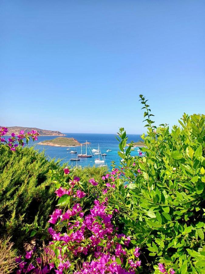 Апартаменты San Teodoro Punta Est Fantastico Trilocale Vista Mare Капо-Кода-Кавальо Экстерьер фото
