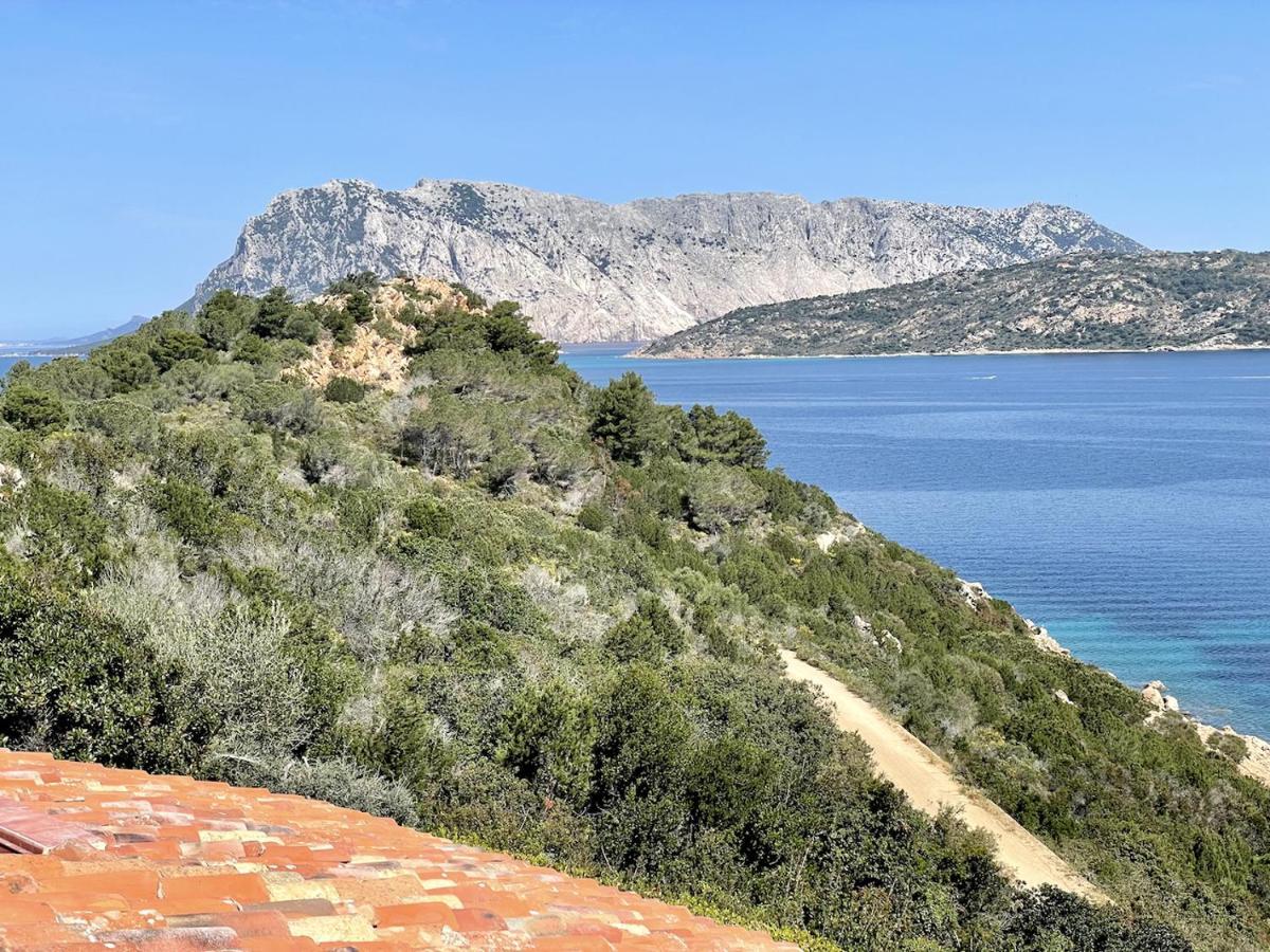 Апартаменты San Teodoro Punta Est Fantastico Trilocale Vista Mare Капо-Кода-Кавальо Экстерьер фото